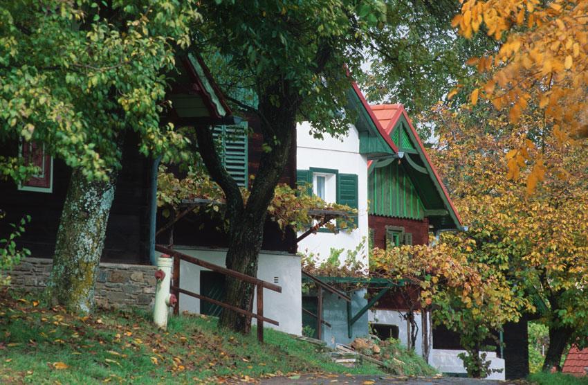 Gasthof Hotel Zum Weinberg Kohfidisch Extérieur photo